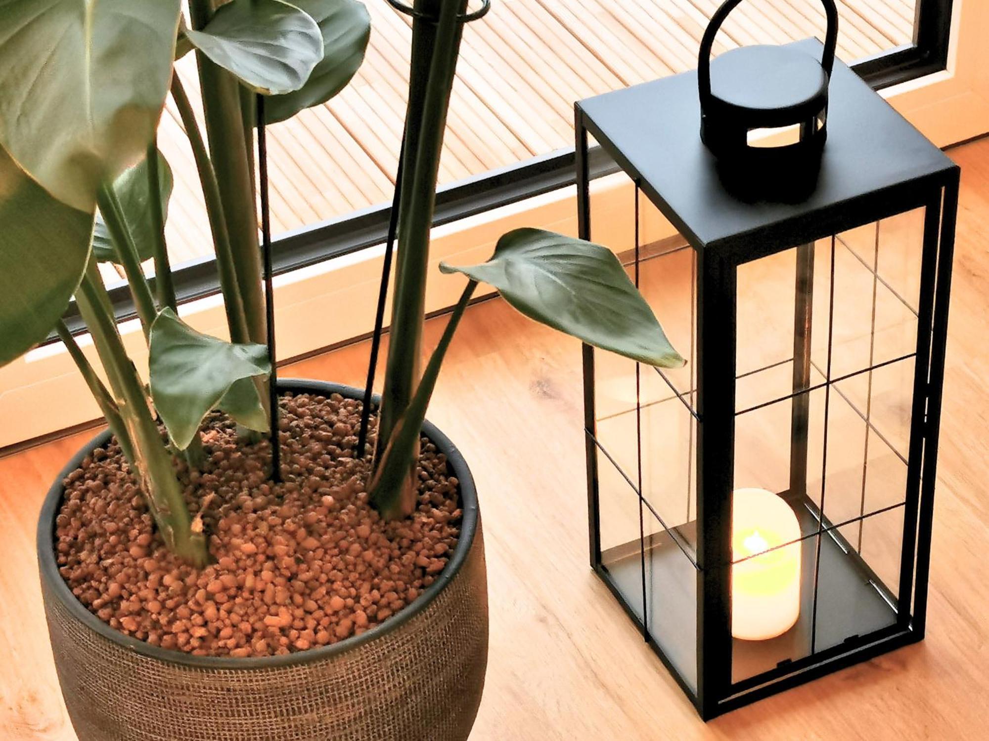 דירות שטראובינג Fynbos Penthouse Deluxe, Balkon, Parkplatz מראה חיצוני תמונה